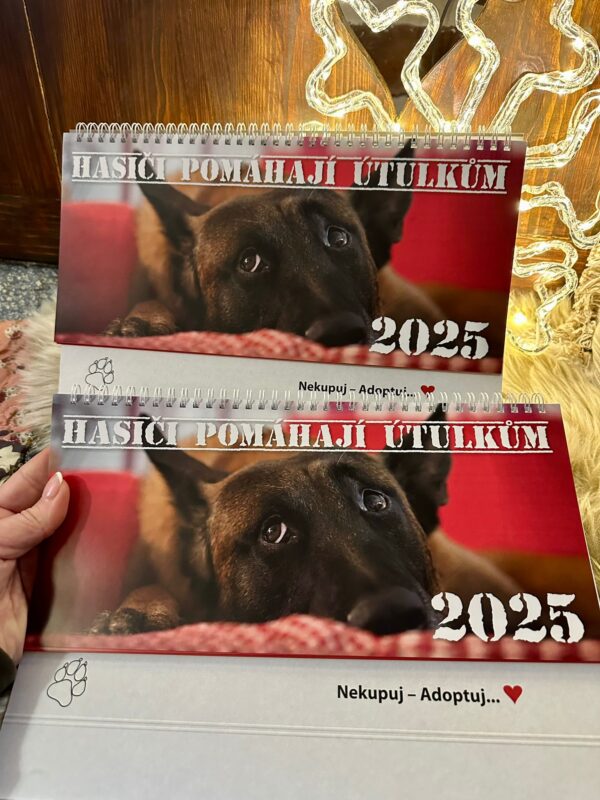Charitativní kalendář 2025