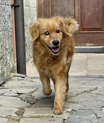 485670599_666244755774146_8134706965855227766_n