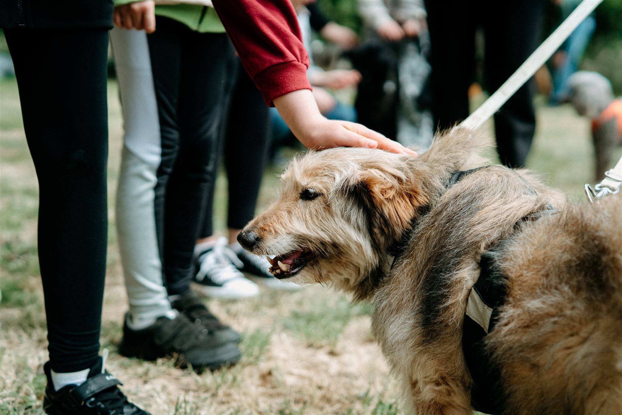 505356123_720681320330489_144384529490579066_n