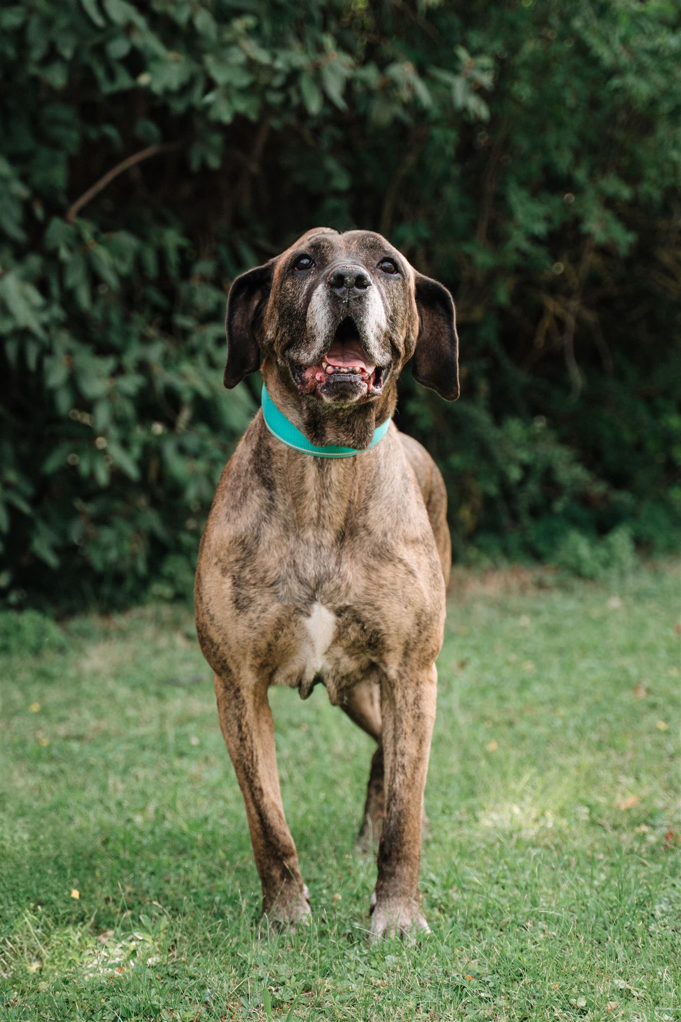 530228555_768349338897020_2875962654536117497_n