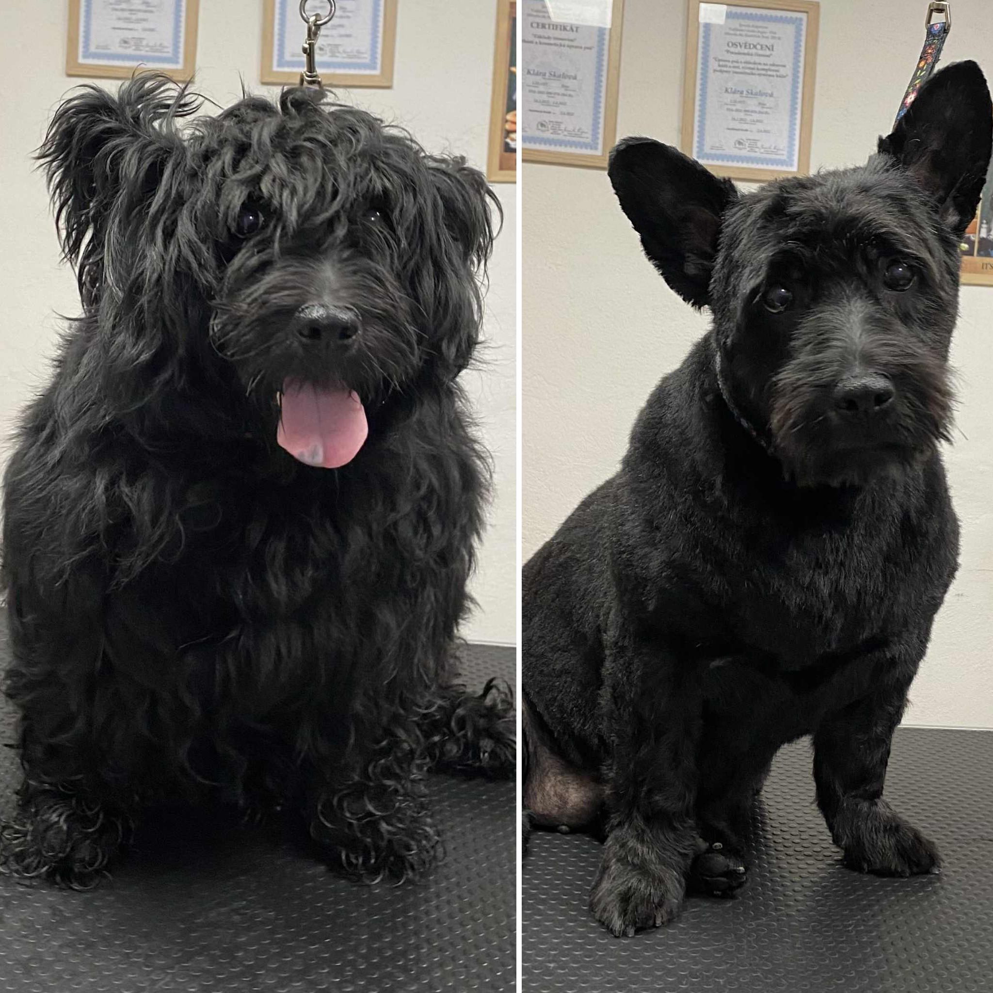 566254356_824825966582690_5551591735345332973_n