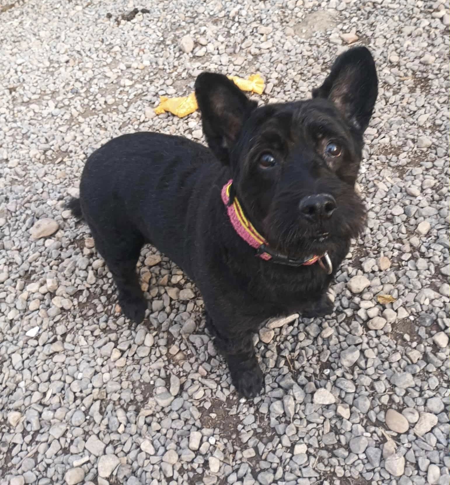 566369918_824825976582689_2225807034983471618_n